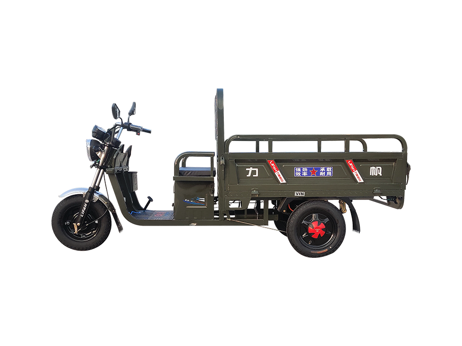 LF3000DZH型（梟龍戰一1.5）電動正三輪摩托車